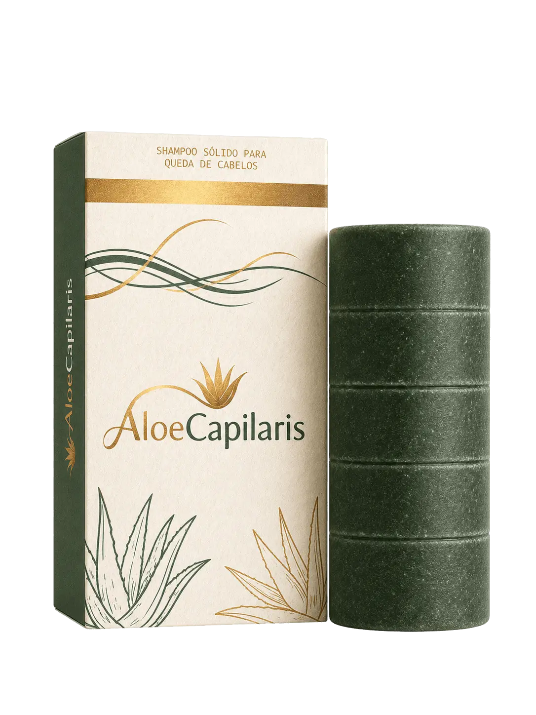 1 Kit AloeCapilaris