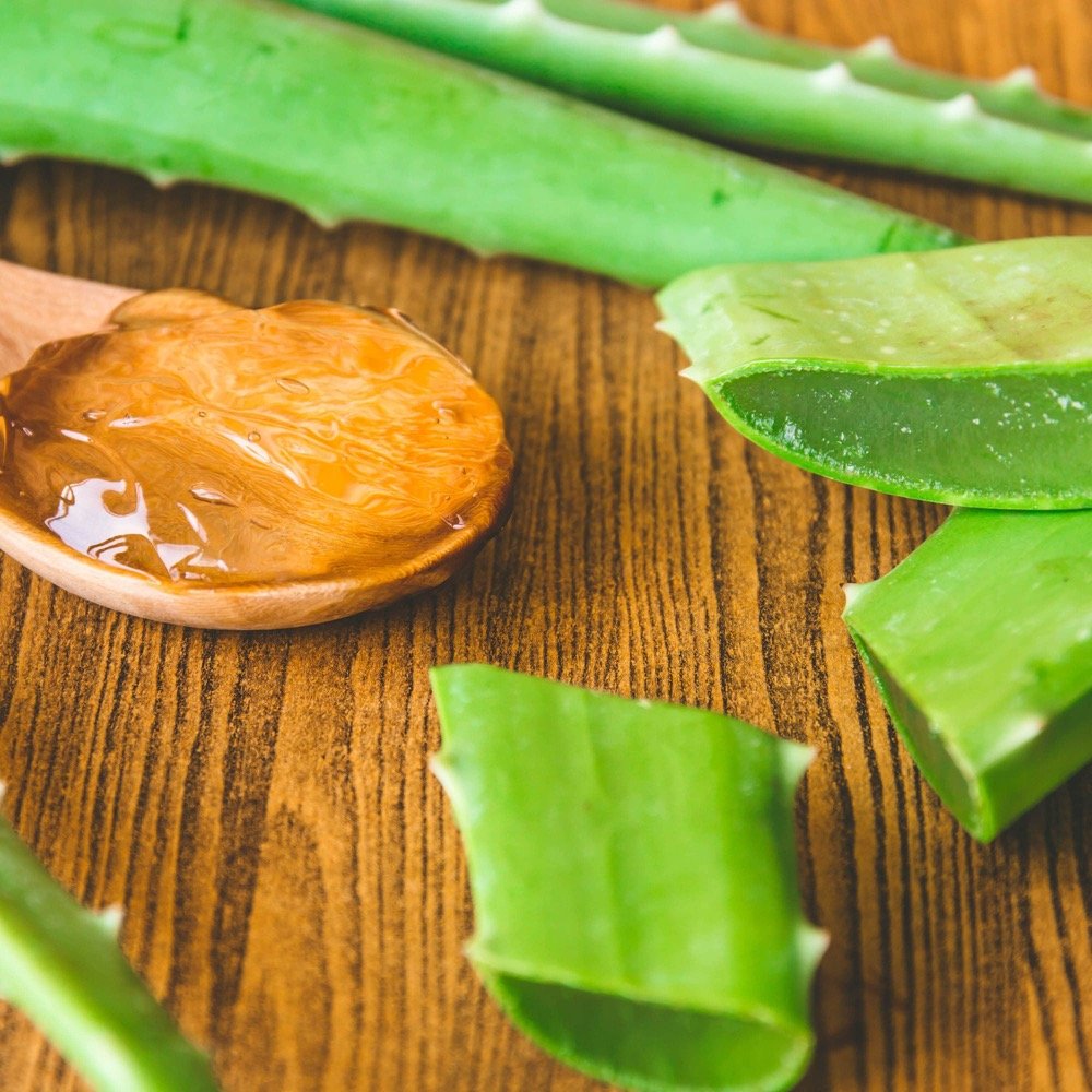 Aloe Vera, ativo natural do AloeCapilaris